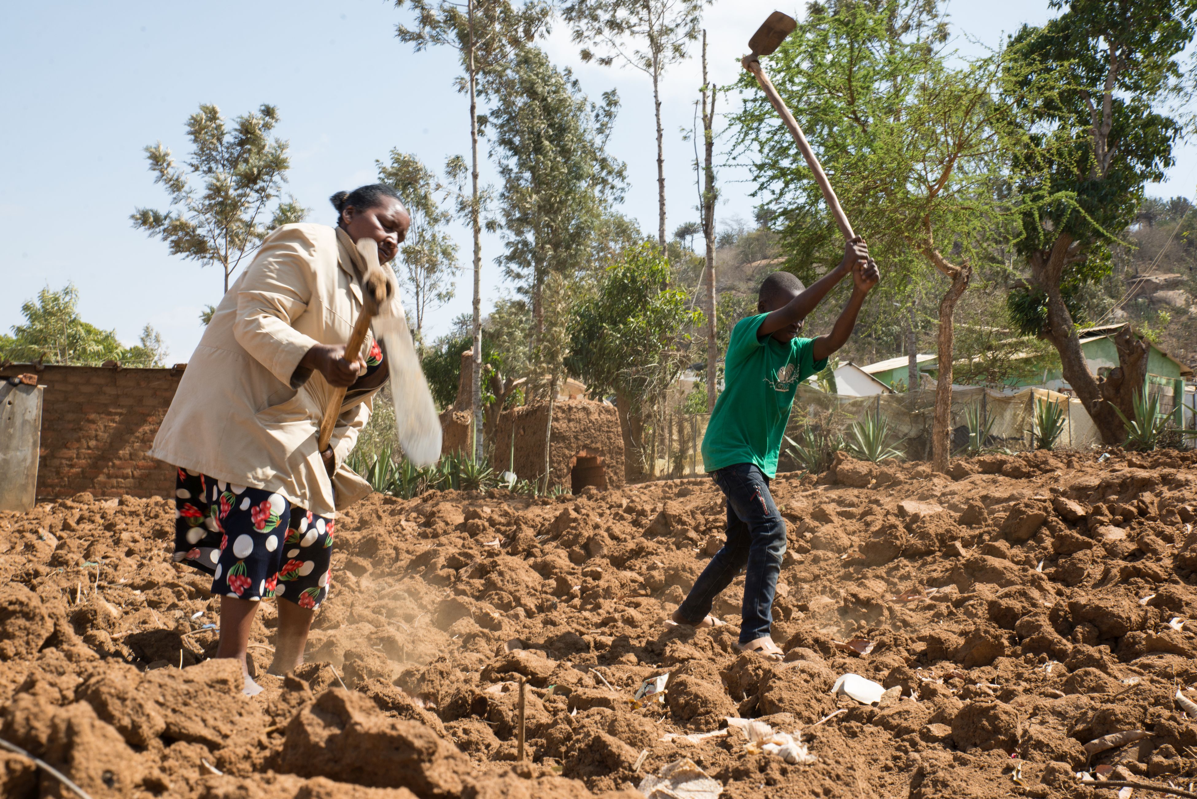 Tilling the Shamba with her child